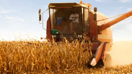 Combine operator harvesting corn on a sunny day
