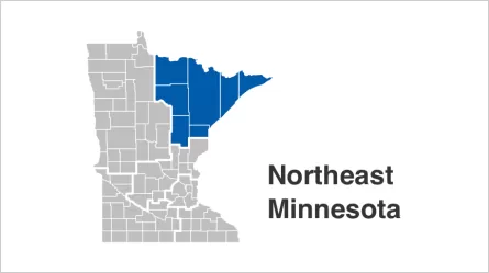 State of Minnesota map with Northeast counties highlighted in blue. Counties include  Aitkin, Carlton, Cook, Itasca, Koochiching, Lake, St. Louis.