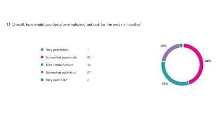 Among all 103 employer services staff survey responses, 45% of respondents indicated that the employers they work with have a somewhat or very pessimistic outlook about the upcoming 6 months, while 21% had an optimistic outlook. The question did not allow for comments regarding the reason for pessimism or optimism.