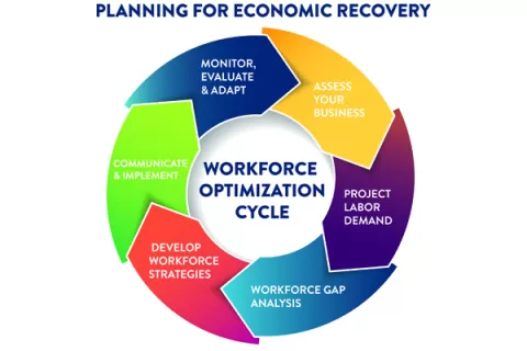 graphic of the Workforce Optimization Cycle showing the 6 stages: Assess Your Business, Project Labor Demand, Workforce Gap Analysis, Develop Workforce Strategies, Communicate & Implement, Monitor, Evaluate & Adapt