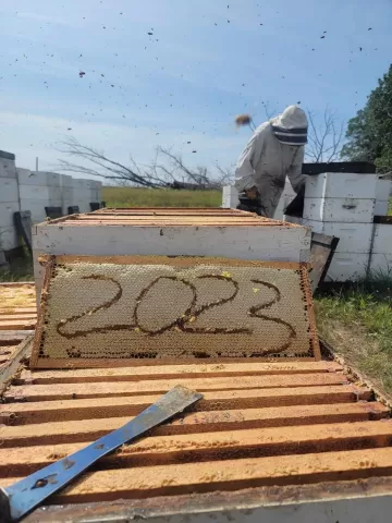 person in beekeepers suit with 2023 written in honey comb from hive